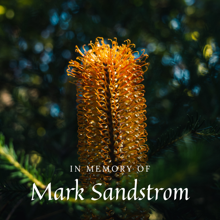 Mark Sandstrom