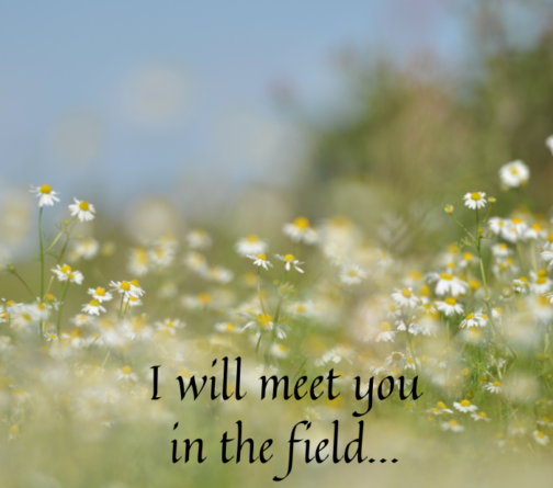 Beyond wrongdoing and rightdoing, there is a field. I will meet you there.