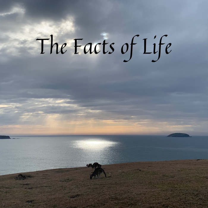 The Facts of Life Pádraig Ó Tuama